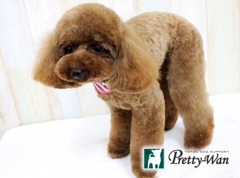 ヒガシダルル160508