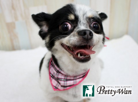 カナモリナナ160625