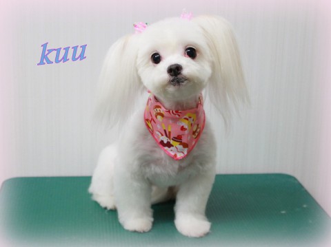 4月11日永野くー