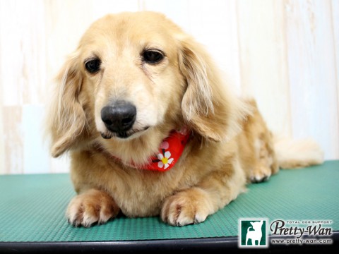 タバタアイ160208