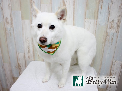 ホリイケタロウ160307