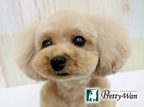 カナモリルナ160518