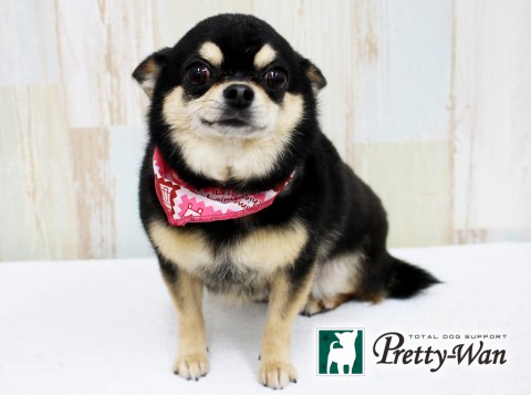 タカハシララ160508