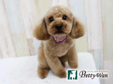 スズキムック160413