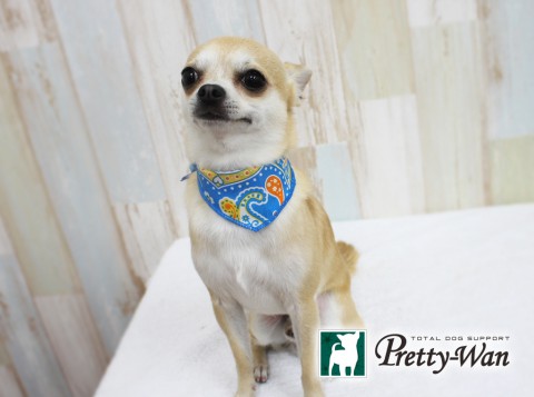 アズマバレン160413