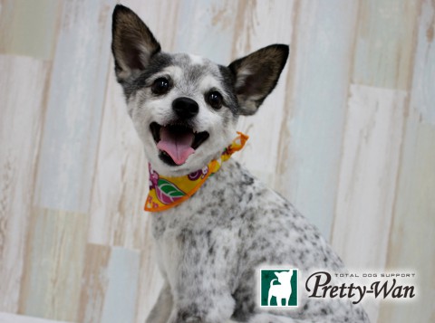 イトウテンテン160513