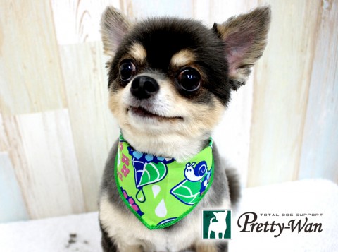 キムラアラシ160511