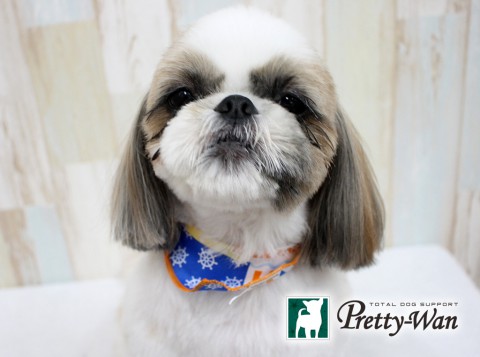 ムトウルウ160611