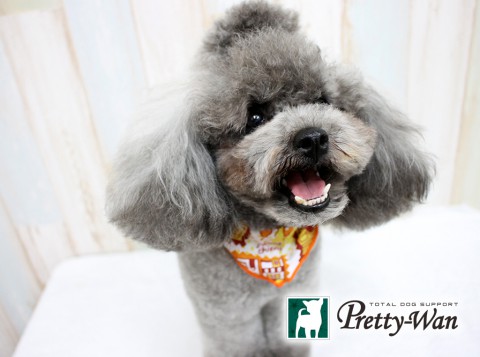 フクタティアラ20160621