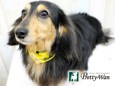 トミダクースケ160404