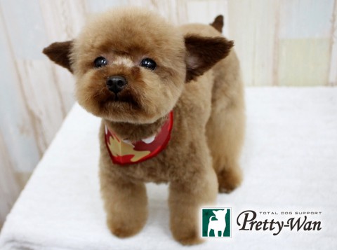 ホリサキチャッピー160704