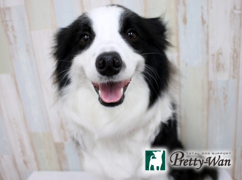 オクムラアル160611