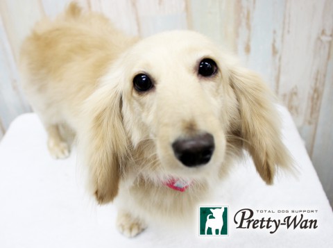 ツルタイヴ160529