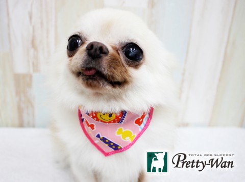 ニシカワキナコ160618