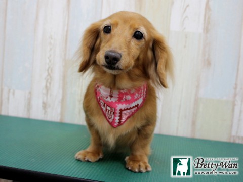 イケダチロル160124