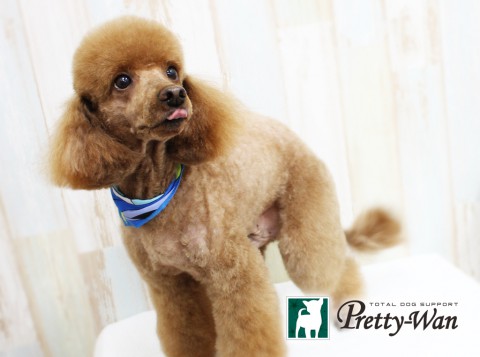 コウケツマロン160408