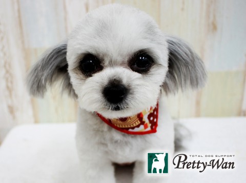 キヤカワウチルナ160507