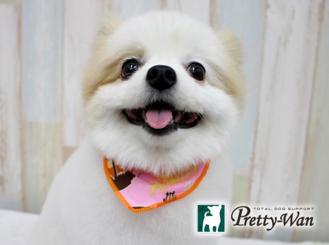 カワイマリ160625