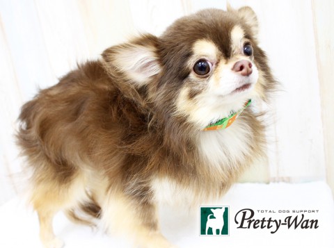 イケダテン160326