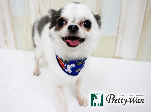 オオニシレミ160504