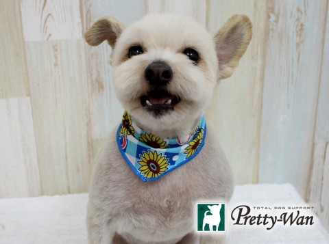 タカミザワポン160703