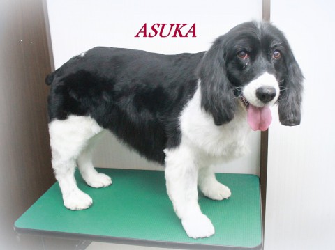 アスカ