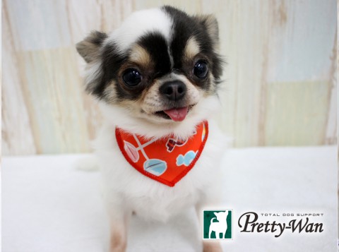 フクタリップ20160621