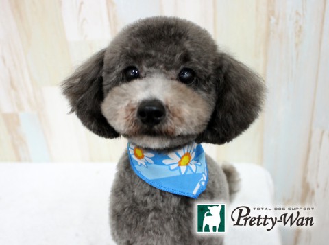 イチカワノア160516