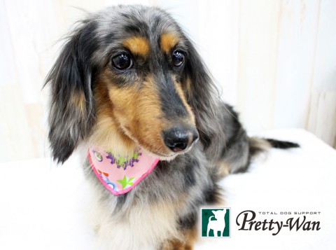 ミヤモトミルク160508