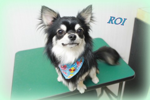 4月11日寺西ロイ