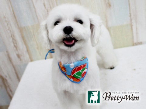 モリミゾレ160611