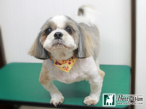 ニシムラマロン151130