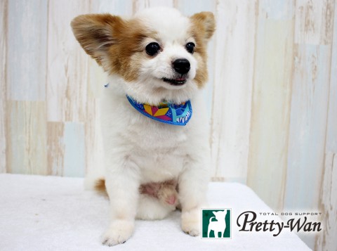 イイダリュウ160305