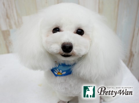 カトウアグ150514