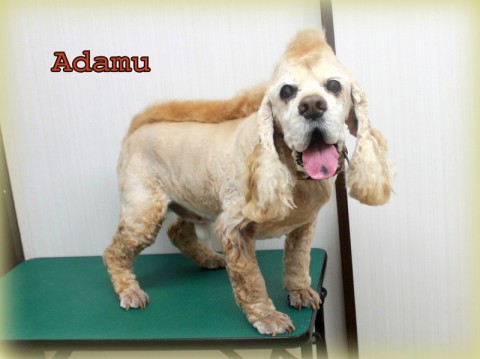 4月20日相馬アダム