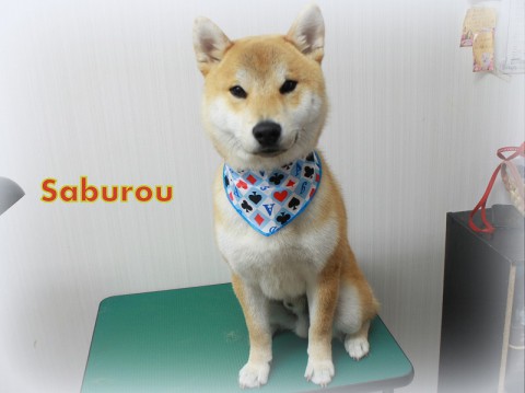 4月5日吉川三郎