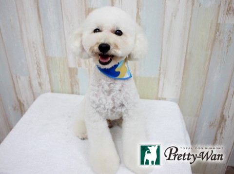 ナガタマリモ160305