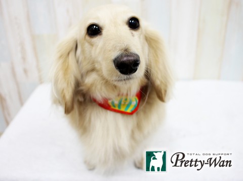 ツルタイヴ160429