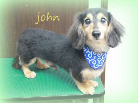 トウボウジョン150711