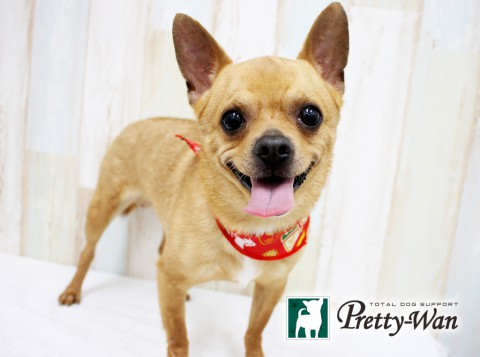 オオニシソラ160504