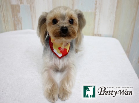 ゴトウココ160308