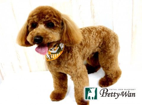 ヤマウチポポ160514