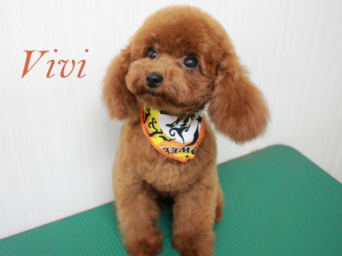 カサハラvivi151007
