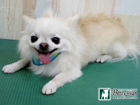 マツダルイ160127