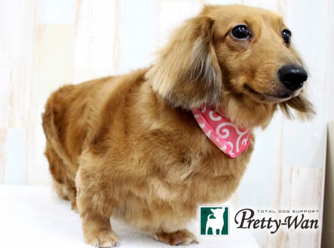 キタザワヒメ160504