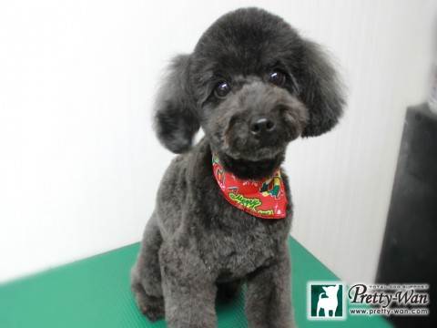 タカギマリン151213