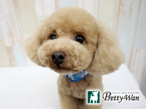 オオハシジャック160703