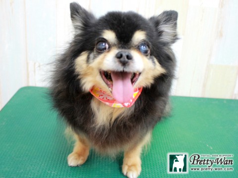 モチズキユズ160123