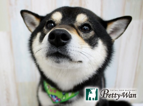 ナカノコタロウ160518