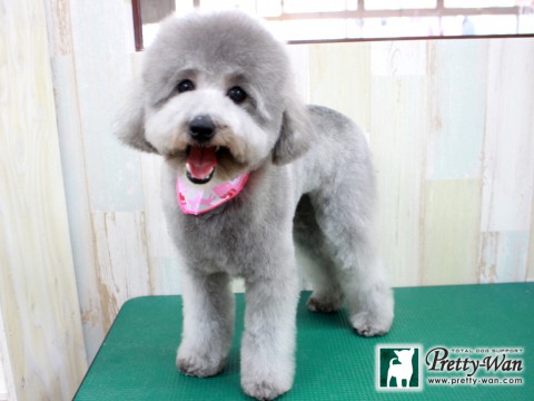 イノウエポンポ160123